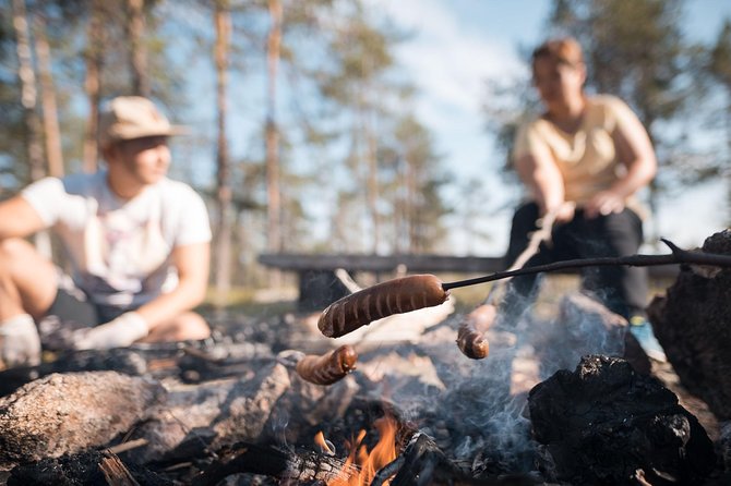 Wild Berries and Mushroom picking tour - Key points at a glance