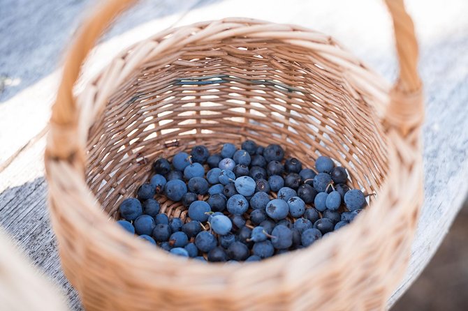 Wild Berries and Mushroom picking tour - The open-fire break adds local flavor