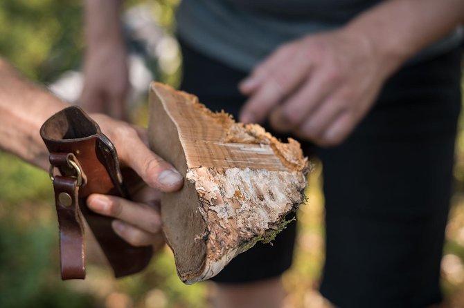 Wild Berries and Mushroom picking tour - What the $104 price really covers