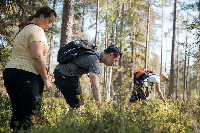 Wild Berries and Mushroom picking tour - Practical details that can shape your day