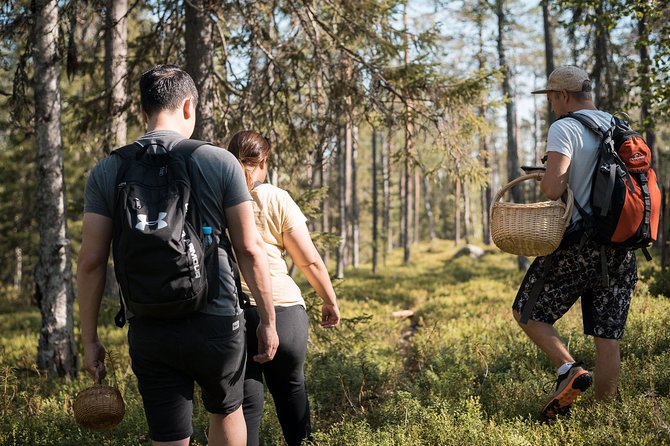 Wild Berries and Mushroom picking tour - Setting off from Rovaniemi with less fuss