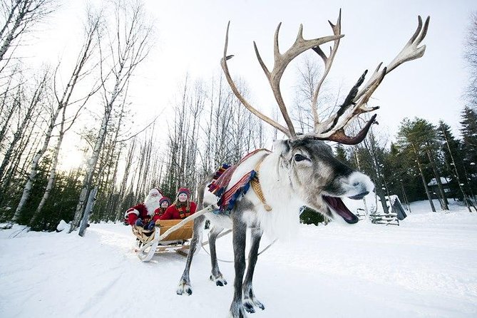 Wild Reindeers Safari + Lunch in Glass Igloo (private service) - Why the winter clothing matters
