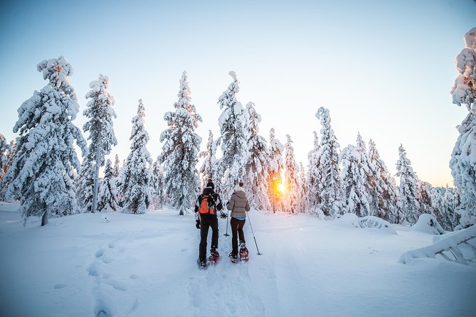 Wilderness snowshoe adventure - Key points to know before you book