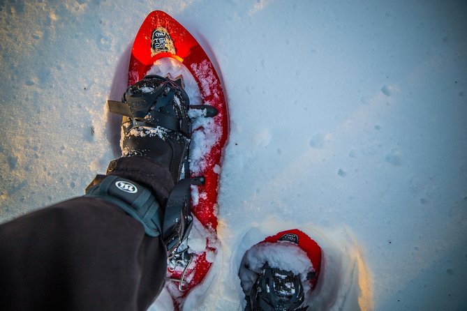 Wilderness snowshoe adventure - Getting comfortable in snowshoes and poles