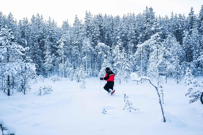Wilderness snowshoe adventure - How the $126.16 price compares with the experience