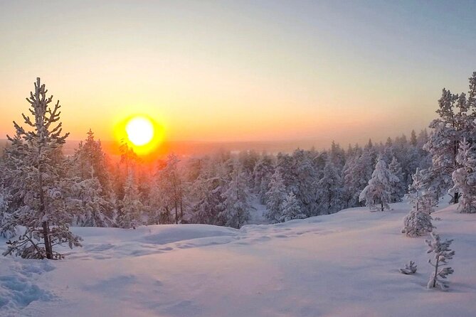 Wilderness Survival Tour - Winter - Is $106.82 good value?