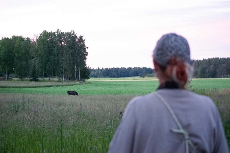 Wildlife safari with campfire dinner from Helsinki - Meeting point, cancellations, and weather planning