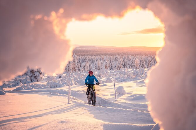 Winter afternoon group Ride in Saariselkä - Starting at Roll Outdoors Saariselkä at 3 pm