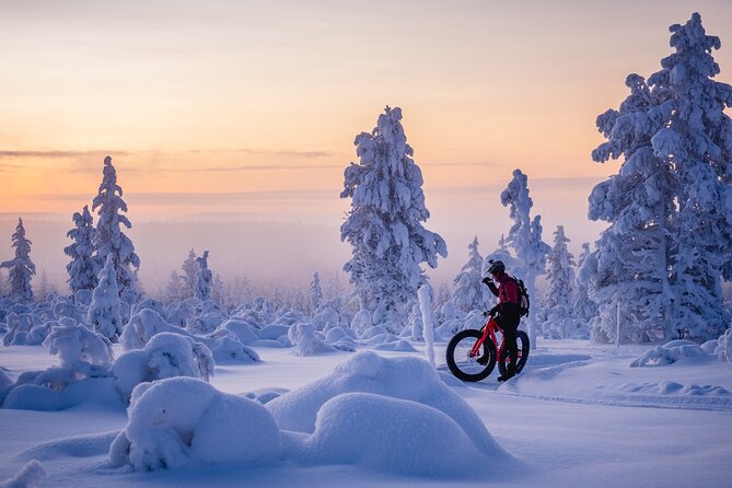 Winter afternoon group Ride in Saariselkä - Ninety minutes through snowy forest
