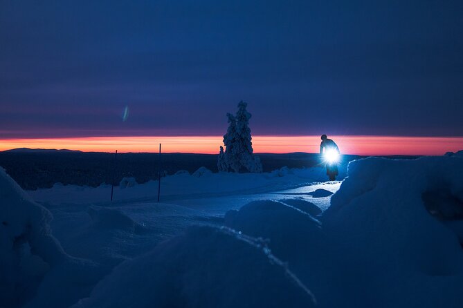 Winter afternoon group Ride in Saariselkä - Is $161 a fair price for two hours?