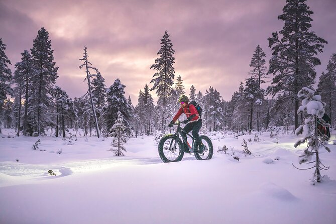 Winter afternoon group Ride in Saariselkä - Practical tips for a smoother outing