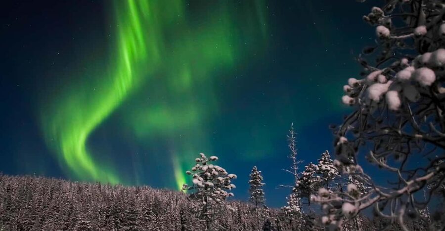 Ylläs: Seeking Northern Lights Photo Tour - Photo help for cameras and phones